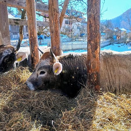 Вілла Koflhof Urlaub Auf Dem Bauernhof Алдіно Екстер'єр фото